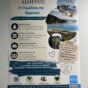 Topic case study Edipsos (e-library).jpeg